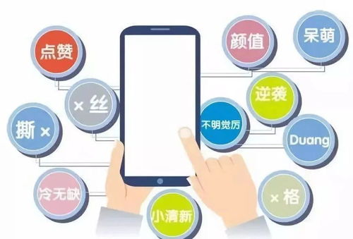 真正的學(xué)術(shù)語(yǔ)言 網(wǎng)絡(luò)與信息安全軟件開(kāi)發(fā)中的思想內(nèi)核